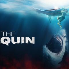 鲨海困斗 - vXZ0PrvhIlRMZnxgD2KPiuuzbVw.jpg