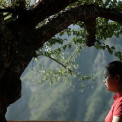 给阿妈的一封信 - 9CSU9Tx6XaZjrHIxQ6XxKxC9UEG.jpg