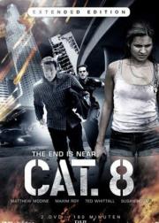 惊天动地8.0 CAT. 8
