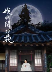 夜晚开的花