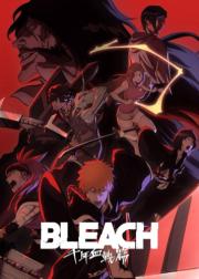 Bleach: Sennen Kessen-hen