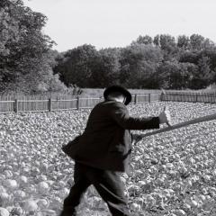 白丝带 - jABzV9EgxRJsuYPBqC0OA5AUUeN.jpg