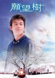 愿望树