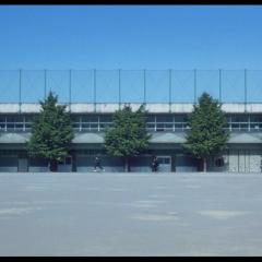 坏孩子的天空 - iT5wBc6Z2n2urHWDAGw8Hl9HCaF.jpg