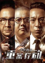 重案行动之连环凶杀