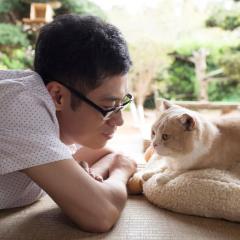 猫咪后院之家 - nmOxJv9oLP6ihODlsCvaMYfztFp.jpg