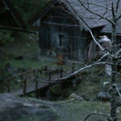 隐墙 - 4J2208kaR0O7GiNFJvX8SkFGmpd.jpg
