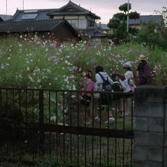 奇迹 - oZGDLAtO39LRuaLDasG1iqrO5ui.jpg