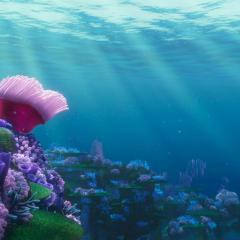 海底总动员 - 7alFe4HWLg6n0qnUz4LKi3aoWYQ.jpg