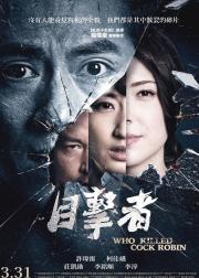 目击者之追凶