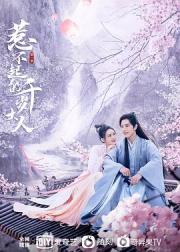 惹不起的千岁大人